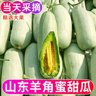 山东羊角蜜5斤水果新鲜甜瓜当季整箱包邮小密瓜香瓜蜜瓜羊角脆甜