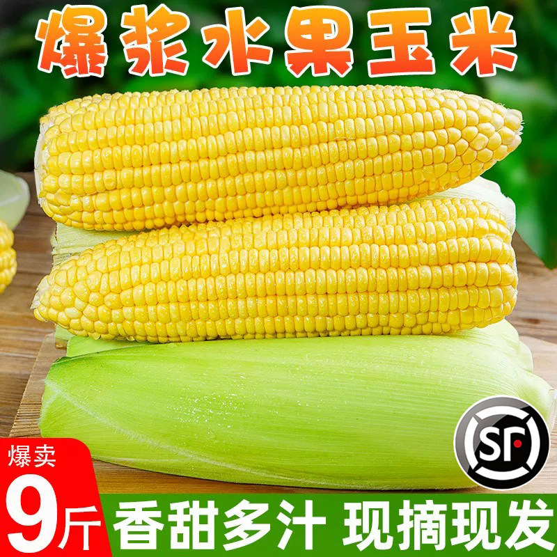 云南水果玉米丨推荐9斤装包邮