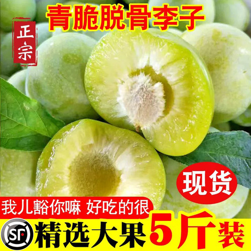 当季新鲜青脆李脱骨李子5斤包邮