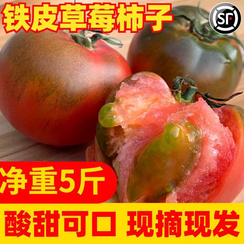 现摘现发铁皮柿子5斤生吃酸甜口草莓西红柿新鲜自然熟水果番茄