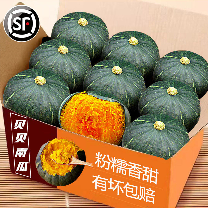 新鲜板栗味贝贝南瓜粉糯香甜
