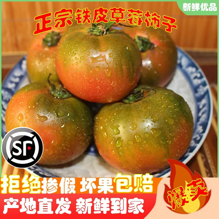 丹东铁皮草莓柿子番茄自然熟