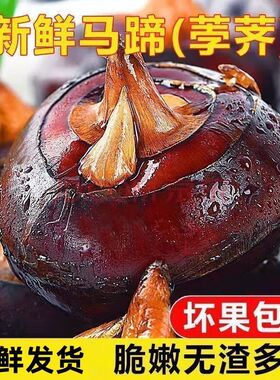 新鲜荔浦马蹄9斤荸荠地梨脆甜多汁农家水果蔬菜生吃应季新鲜现挖5