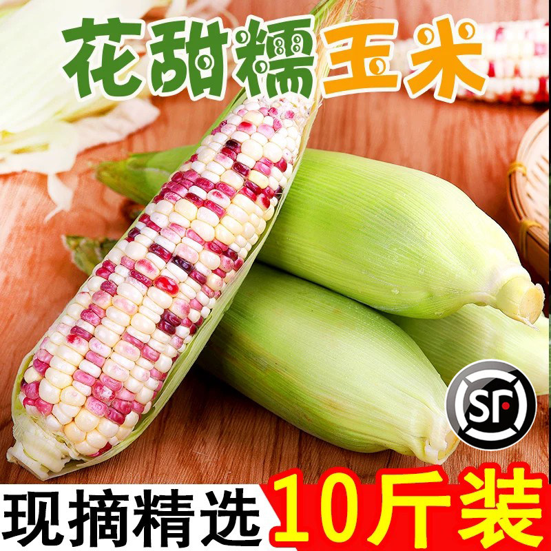 花糯玉米新鲜蔬菜包邮爆浆
