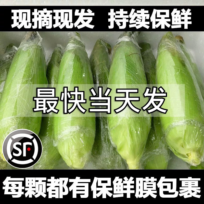 广西白糯玉米9斤现摘新鲜当应季白糯棒子苞谷粒玉米蔬菜整箱包邮1