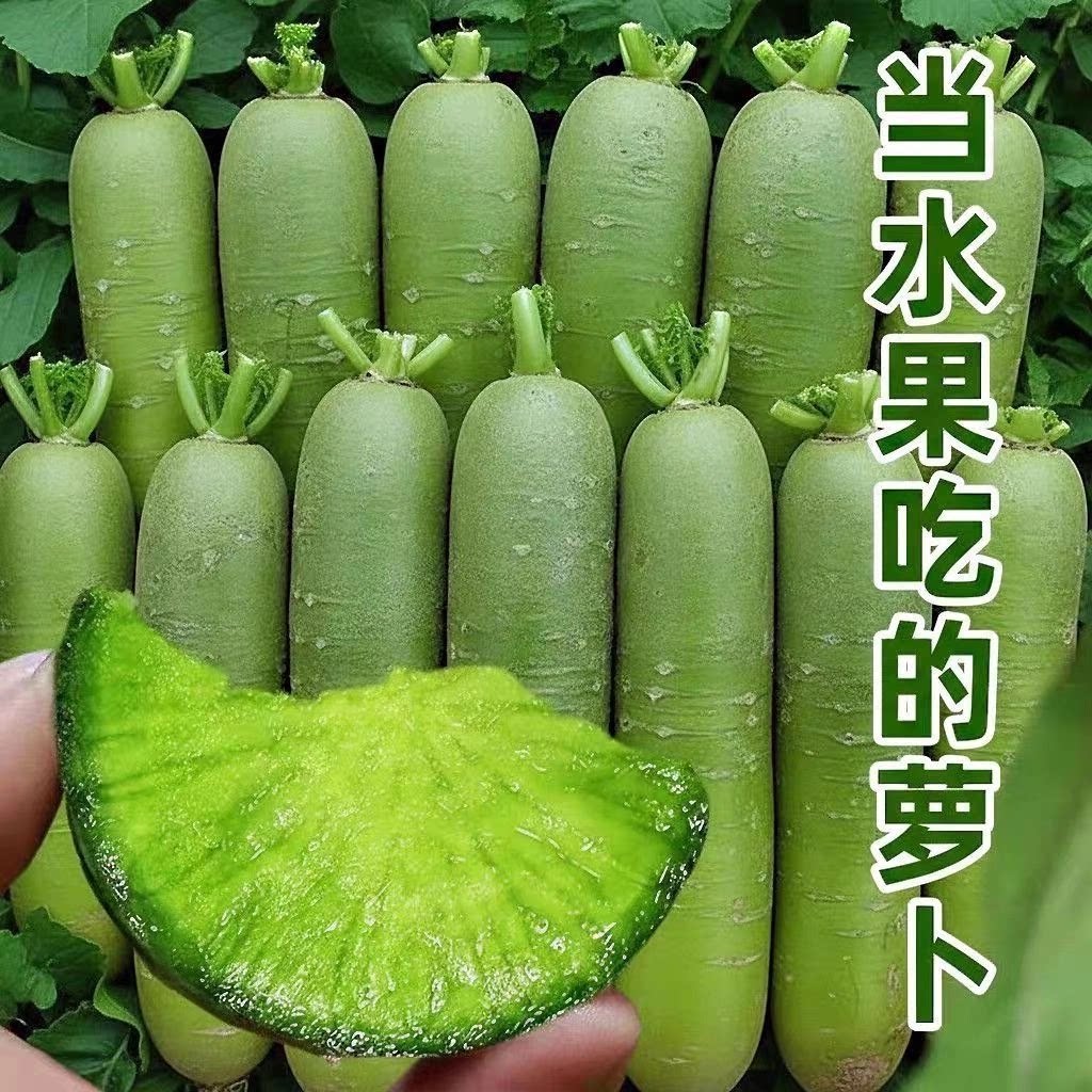 生吃脆甜水果萝卜旗舰店