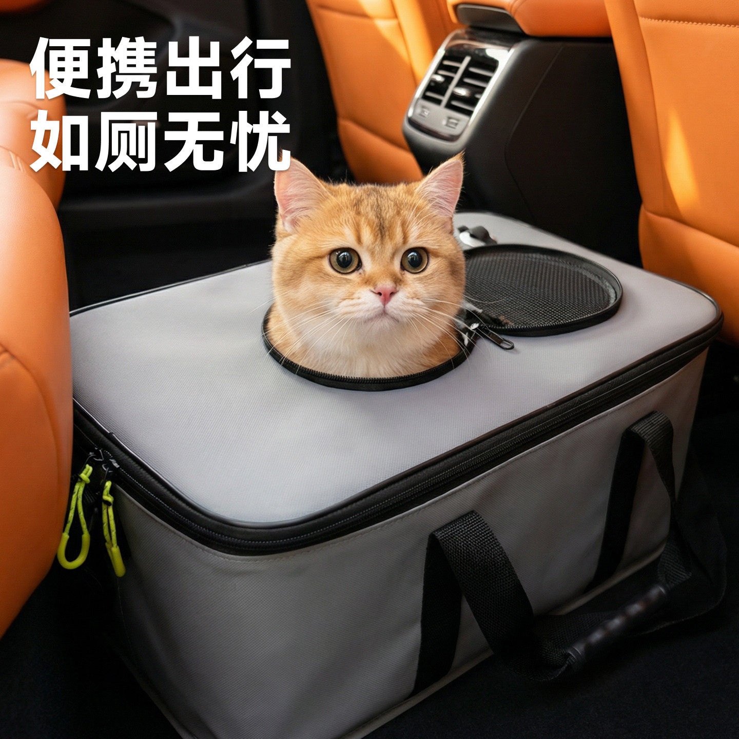 车载猫砂盆防外溅外出便