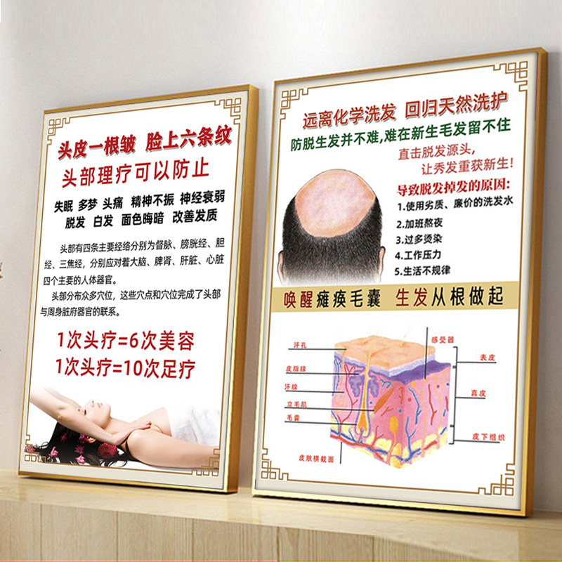 头疗宣传图片理疗馆养发生发的功效小黄姜茶麸洗头美容院装饰挂画
