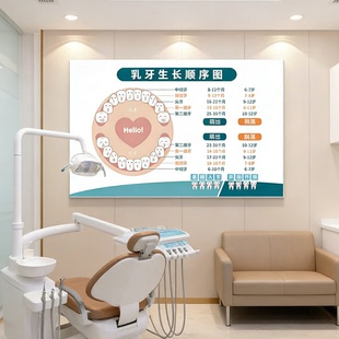 口腔诊所墙面装饰乳牙生长萌出顺序图儿童牙科宣传海报医院文化墙