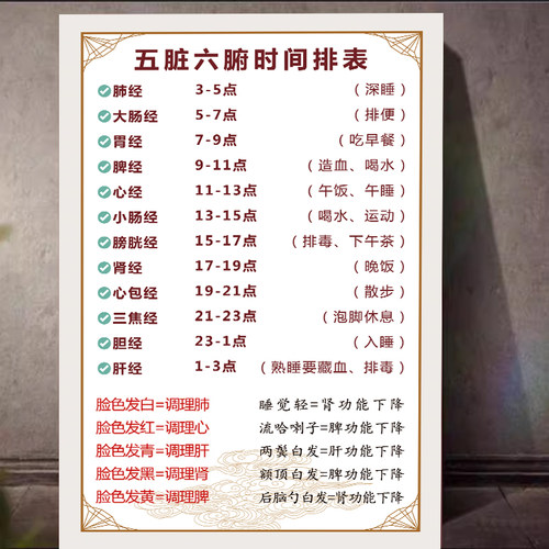 五脏六腑时间表墙贴墙贴中医养生