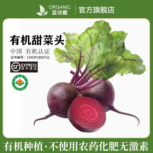 有机甜菜根红甜菜榨汁凉拌蔬菜