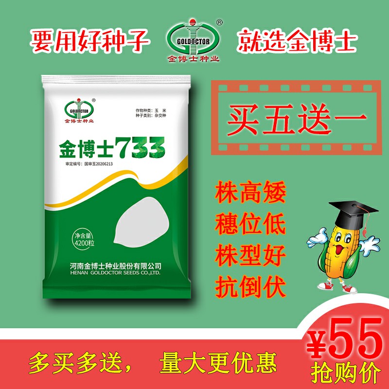 金博士种业黄淮海地区正品玉米品种金博士733红轴株高矮穗位低