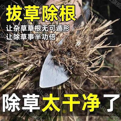 拔草器除草神器连根锄草专用工具多功能不锈钢铲草耙松土挖野菜农