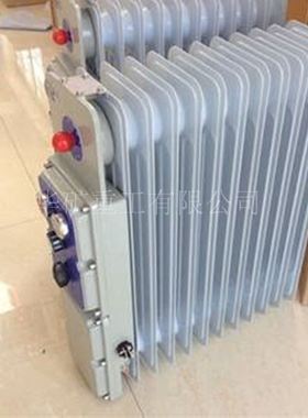 电热取暖器发货迅速RB-2000/127(A)矿用隔爆兼增安型电热取暖器