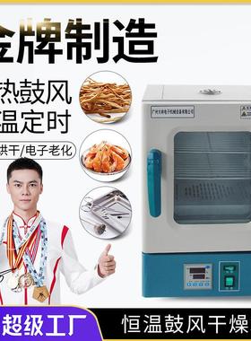 大祥202-00BS电热鼓风干燥箱小型定时恒温实验室电子元件老化烘箱