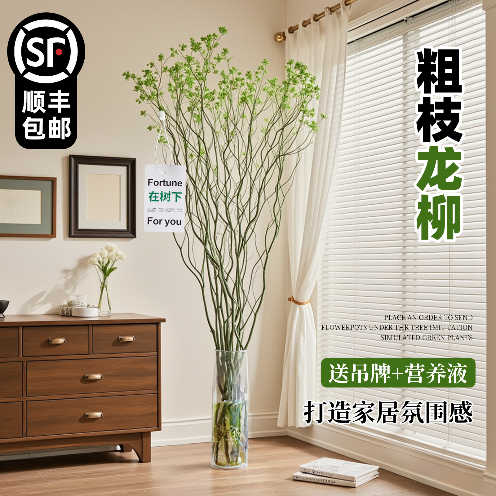 国风龙柳鲜枝水培植物高级感绿植