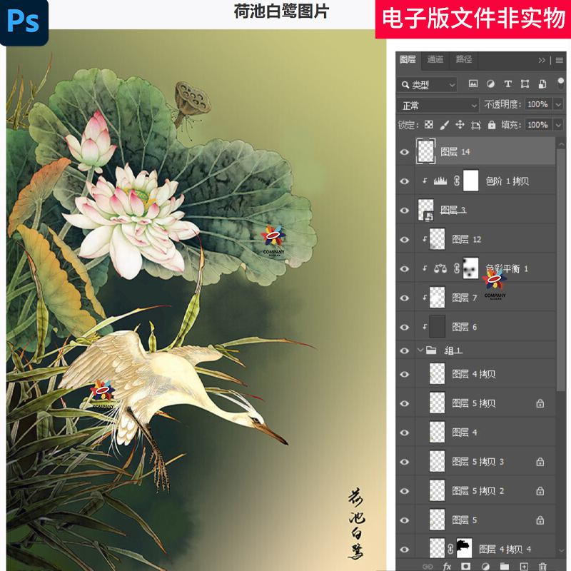荷池白鹭装饰画工笔画年画吉祥鸟中堂画国画荷花无框画荷花水墨画图片
