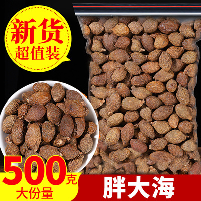 胖大海500g正品泡水润喉茶咽清另售特级散装菊花金银花罗汉果甘草
