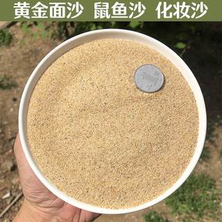 黄金沙南美三湖鼠鱼底沙鱼缸草缸水陆造景化妆沙天然细河沙水草砂