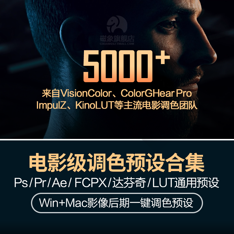 PS/FCPX/AE/PR调色预设微电影级效果婚礼风景旅游复古影视频滤镜 - 封面