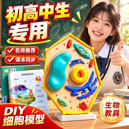 细胞模型制作材料包七年级上初中