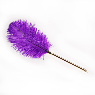 sm调情羽毛拍小皮鞭惩罚女朋友打屁股玩具夫妻助爱鞭子成人性用品