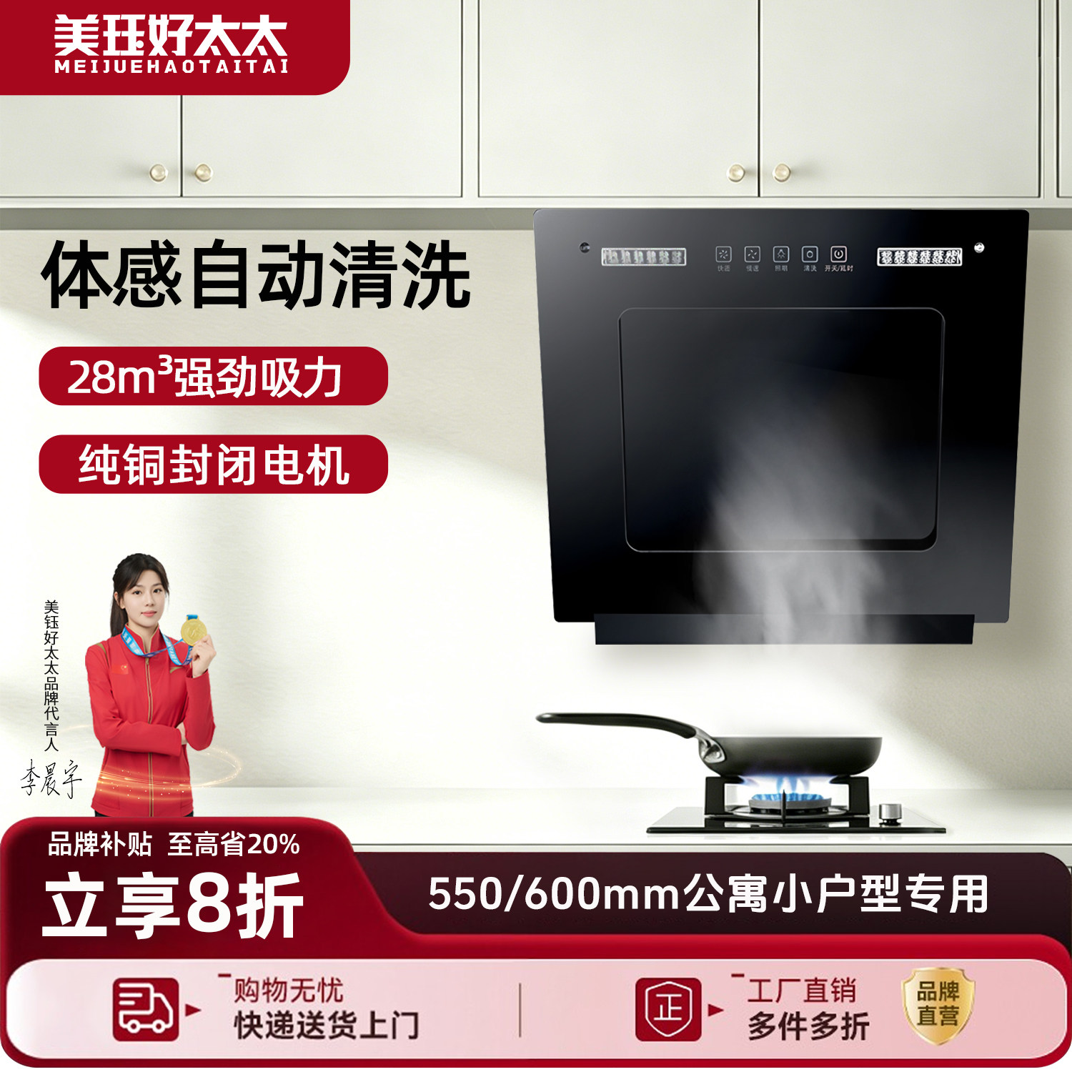 小型抽油烟机家用租房小尺寸公寓式单灶吸油烟机侧吸式自动清洗