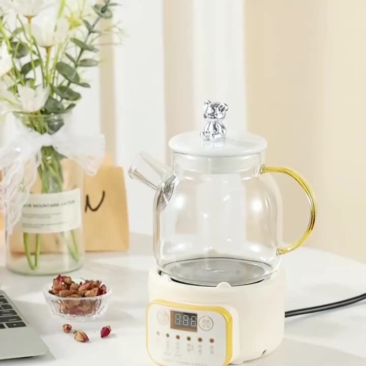 多功能玻璃养生壶家用全