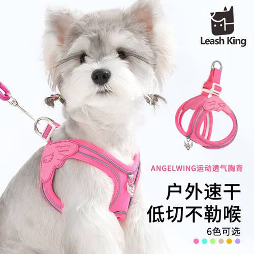 狗牵引绳背心式小型犬雪