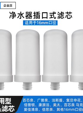 不锈钢龙头净水器滤芯适配百芯泉