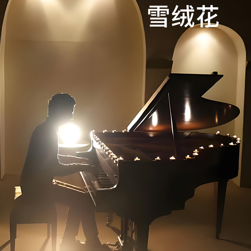 雪绒花 钢琴伴奏五线歌谱正谱乐谱 降B调 合唱谱考试