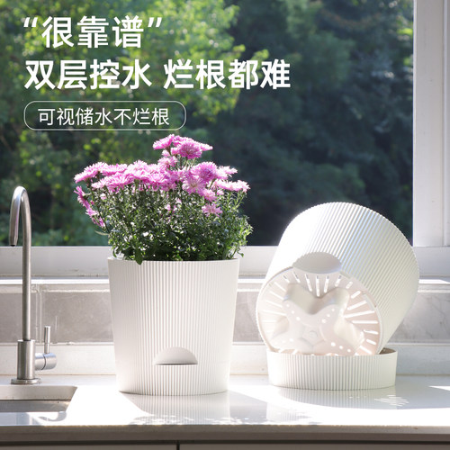 带盆托双层储水花盆直筒种植盆