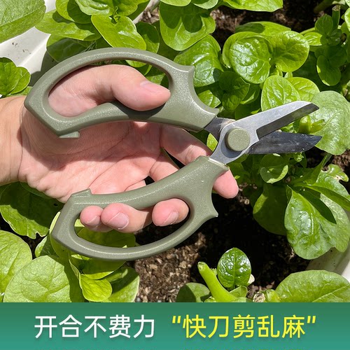 修枝剪园艺工具花植爱花草枝修剪