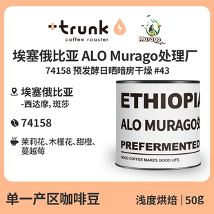 埃塞俄比亚ALO Murago预发酵日晒暗房干燥手冲咖啡豆浅黑美式单品