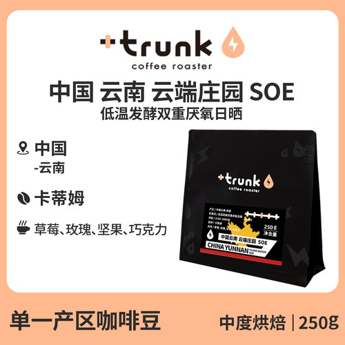 云南云端庄园中烘SOE单品咖啡豆