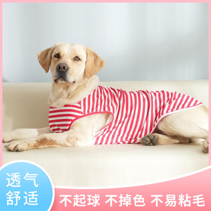 薄款狗狗衣服夏季金毛拉布拉多边牧萨摩耶中型大型犬防晒透气背心