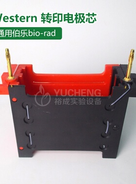 通用bio-rad伯乐小型转印湿转电极芯不含夹板WB转印1703935