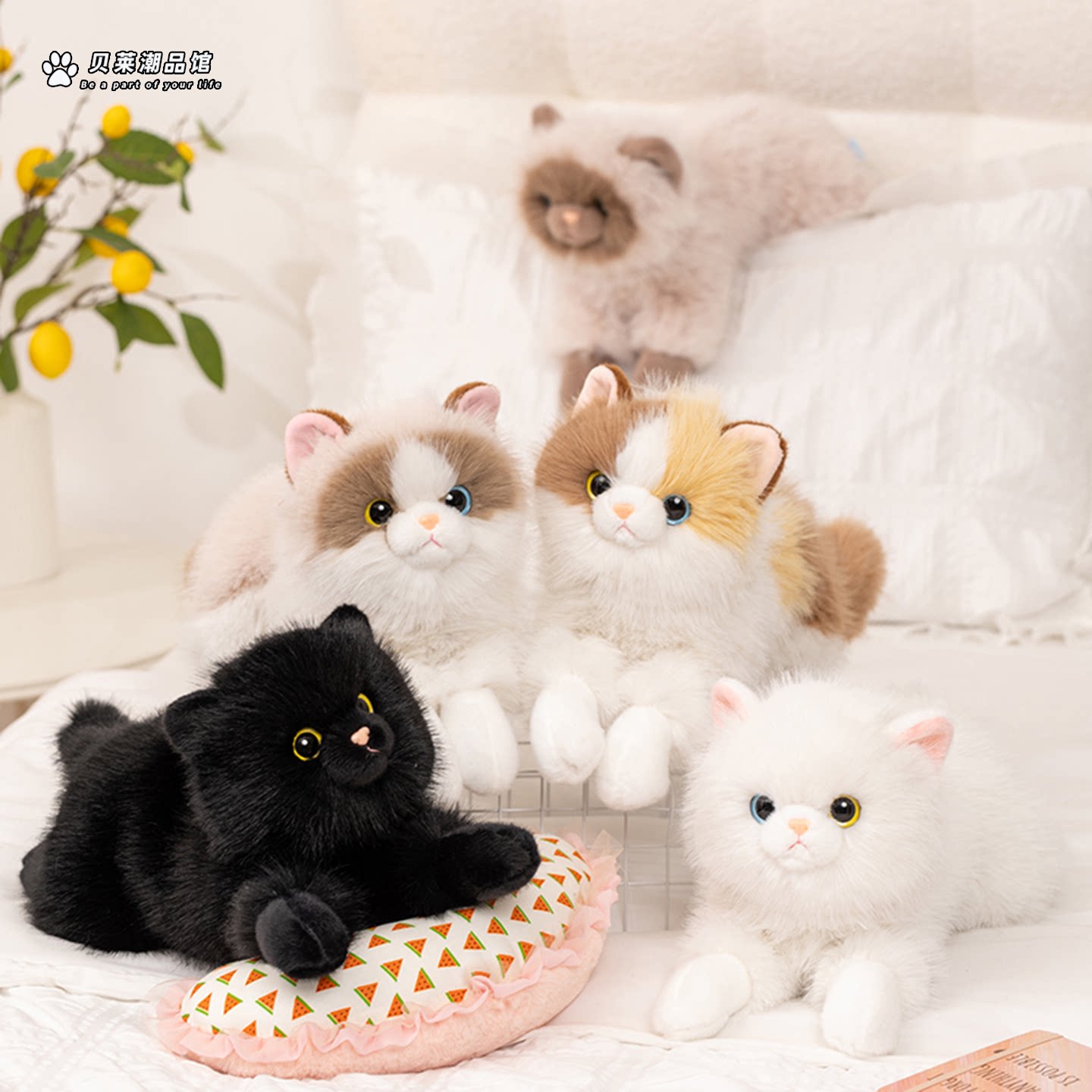 正版新款趴姿雪绒猫咪毛绒公仔图片