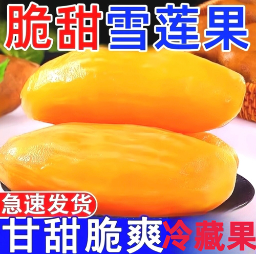 现货！天山雪莲果新鲜水果应当季云南孕妇雪连果整箱直发冷藏果