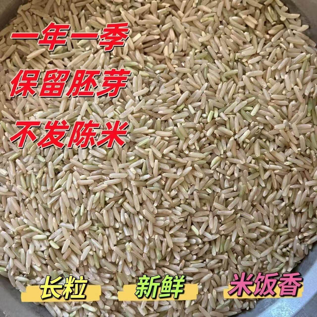 【人工除草】糙米农家自打带胚芽营养健康方便保存新鲜选取粗粮
