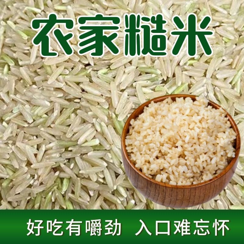 新米长粒糙米胚芽不抛光5斤