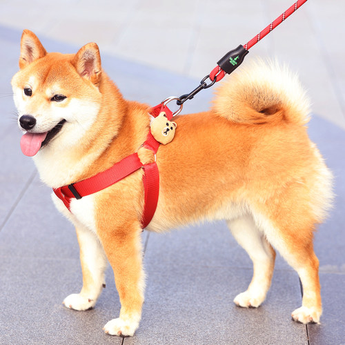沁暧小熊胸背带柴犬泰迪牵引绳