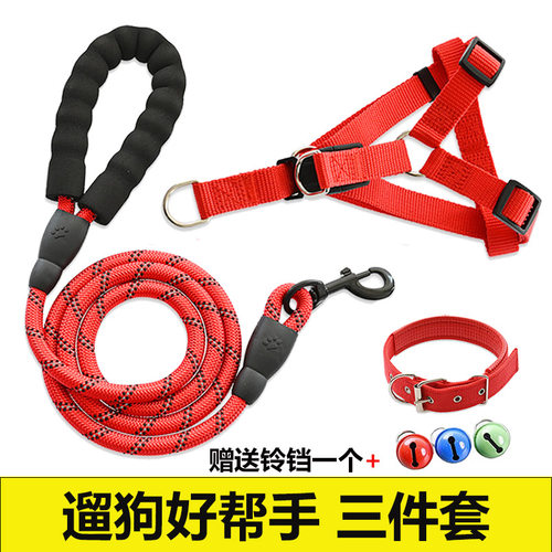 狗牵引绳项圈金毛泰迪狗绳子