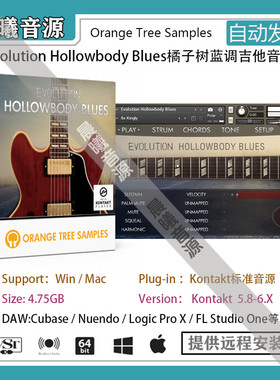 Evolution Hollowbody Blues橙树蓝调电吉他音色PC MAC编曲音源
