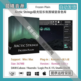 Arctic Strings极光弦乐大气氛围环境铺垫音色库PC MAC编曲音源