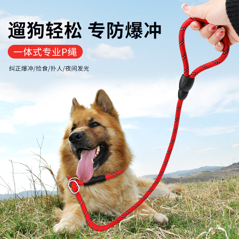 加长狗狗防爆冲牵引绳泰迪金毛宠物大型中型小型犬反光狗链狗绳子