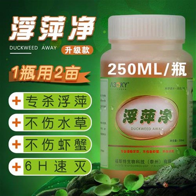 浮萍速净除藻剂鱼塘去除浮萍清理不伤鱼I杀浮萍药剂克星一喷灵扫