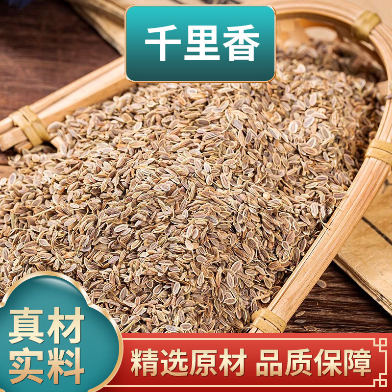千里香黄金桂百里香莳萝籽七里香万里香九秋香大料调料中药材煮水