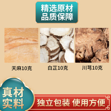 川芎白芷天麻汤原料各10克组合中药材独立包装煮水泡水