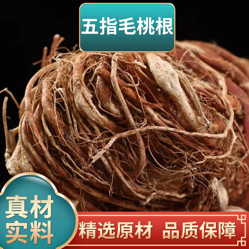 五指毛桃根新鲜干货红娘根中药材奶娘根可搭配土茯苓煮水泡水